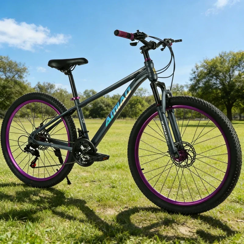 Cycling Low Gear - Mehrstufiges Mountainbike mit leichter Federung für