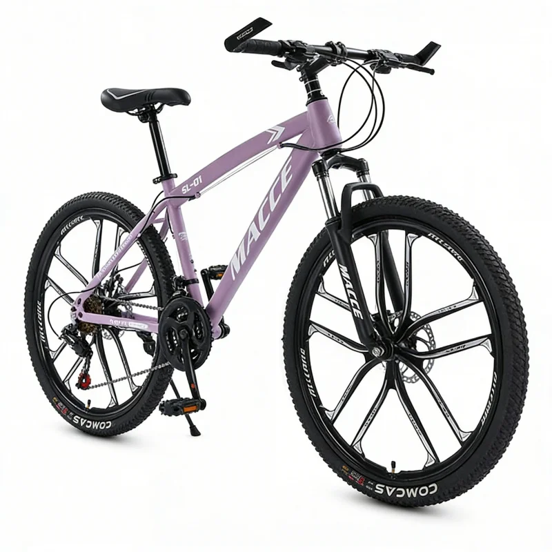 Lila 10-Gang High-End Mountain – Cycling Low Gear Bewertung und Preis