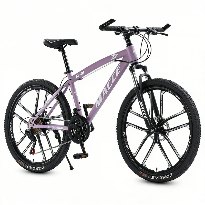 Lila 10-Gang High-End Mountain – Cycling Low Gear Bewertung und Preis