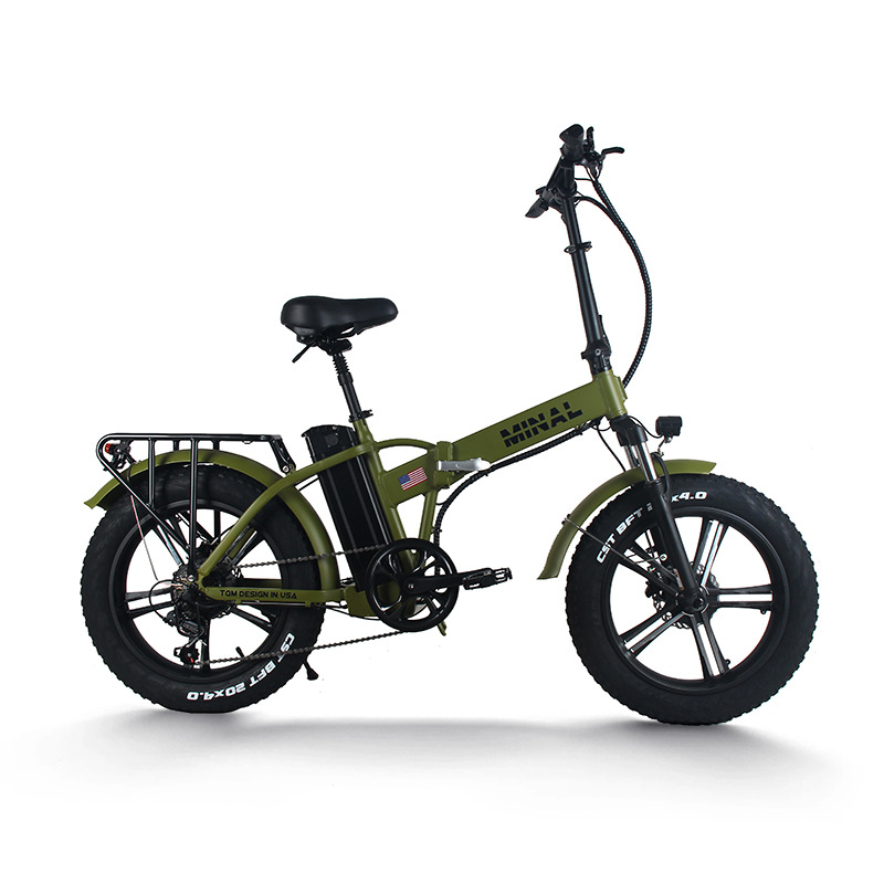 48V 350W 10.5Ah FTC200 E-Bike  – Cycling Gear And Equipment Bewertung und Preis