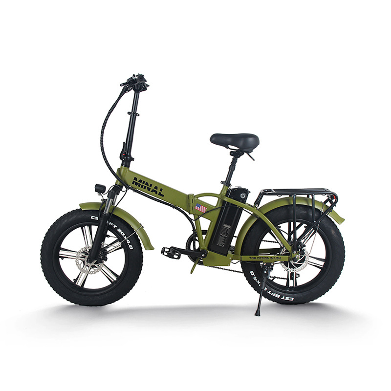 48V 350W 10.5Ah FTC200 E-Bike  – Cycling Gear And Equipment Bewertung und Preis