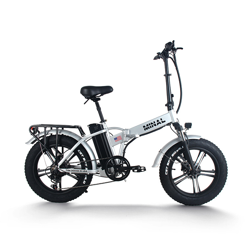 48V 350W 10.5Ah FTC200 E-Bike  – Cycling Gear And Equipment Bewertung und Preis