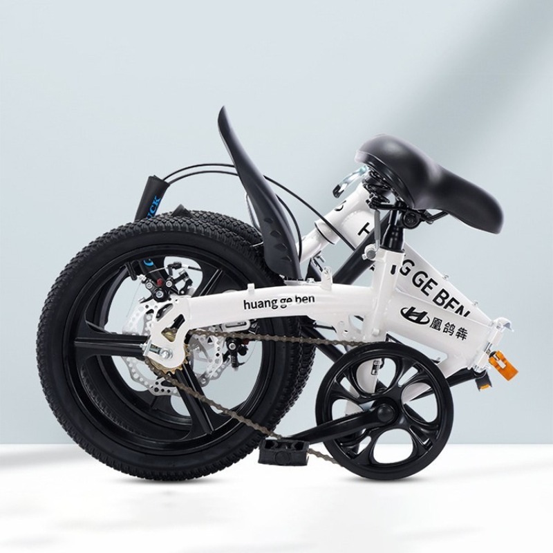 20-Zoll-Klappfahrräder für Erw – Cycling Low Gear Bewertung und Preis