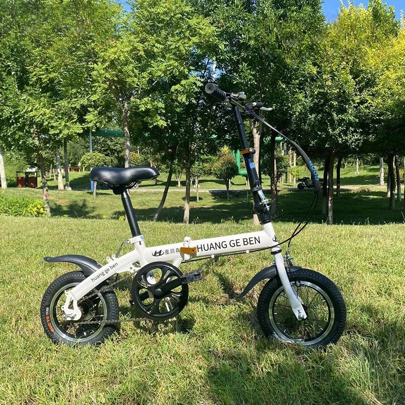 20-Zoll-Klappfahrräder für Erw – Cycling Low Gear Bewertung und Preis