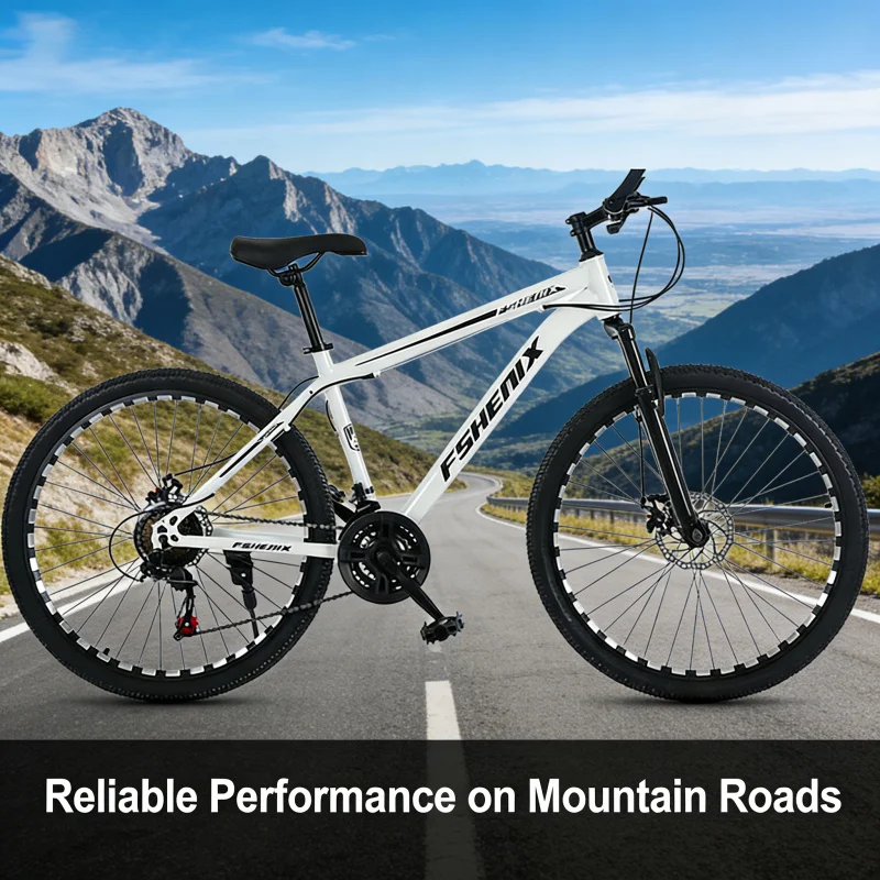 Schneeweiß Speichenrad Mountai – Cycling Low Gear Bewertung und Preis